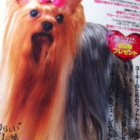 Photo taken at Dogs &amp;amp; Cats Quality Pet Grooming by Yorkie G. on 10/23/2012
