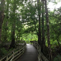 Photo taken at Audubon&amp;#39;s Corkscrew Swamp Sanctuary by Linda J. on 4/30/2013