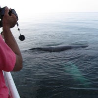 Foto scattata a Capt. Bill &amp;amp; Sons  Whale watch da Capt. Bill &amp;amp; Sons  Whale watch il 7/23/2013