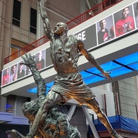 chicago bulls office front things find great