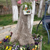 Osmanli Bahcesi Restaurant Kartepe Kocaeli 0262 354 22 3 Gida Firmalari Firmasec Com