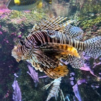 Photo taken at Aquarium by Bruno on 8/5/2022