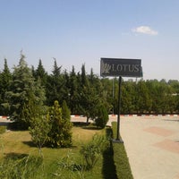 Lotus Jeans - Factory