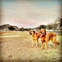 Rose Mofford Dog Park North Mountain 9625 N 25th Ave