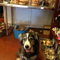 gussied up dog boutique