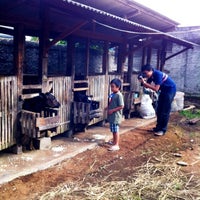 Photo taken at Istana Susu Cibugary (Cibubur Diary Farm) by Widhi S. on 12/28/2012