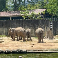 Photo taken at Zoo Taiping &amp;amp; Night Safari by RAZZ MANN on 7/29/2023