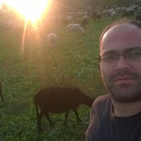 ida hali yikama balikesir edremit