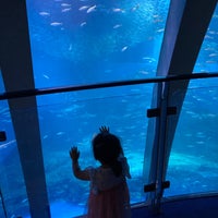 Photo taken at Aqua Museum by mkoya on 7/1/2023