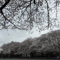 Photo taken at Rinshi no Mori Park by K2 on 4/6/2024