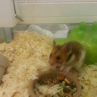 Cadbury Garden Centre Garden Center