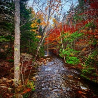 Das Foto wurde bei Acadia Nationalpark von Joan H. am 10/29/2023 aufgenommen