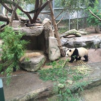 Photo taken at San Diego Zoo by Nurcan N. on 10/17/2015