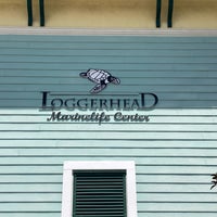 Foto tirada no(a) Loggerhead Marinelife Center por Tina W. em 5/18/2023
