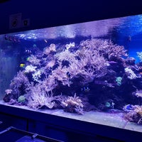 Photo taken at Морской аквариум by Irina N. on 10/28/2017