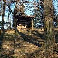 Parco della Villa Pallavicino - Park