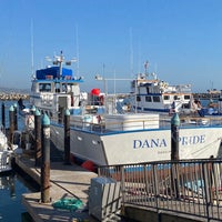 Снимок сделан в Dana Wharf Whale Watching пользователем Lucille F. 2/20/2021