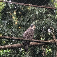 Photo taken at Philippine Eagle Center by Lucille F. on 9/12/2018