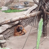 Photo taken at Zoo Leipzig by Oleg on 8/26/2023
