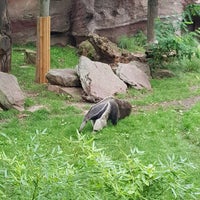 Photo taken at Zoo Leipzig by Oleg on 8/26/2023