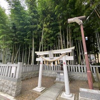 不知八幡森 市川市 千葉県