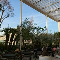 アトレ空中庭園 Garden In 渋谷区 アトレ空中庭園 Garden In 渋谷区