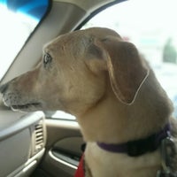 terrell mill animal hospital