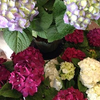 Jardin Rose Bleue Fleuriste Flower Shop In Lasalle