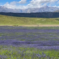 Снимок сделан в New Zealand Alpine Lavender Farm and Shop пользователем Howard H. 12/22/2021