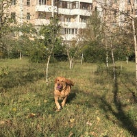 Photo taken at Собачий выгул by Wolfy🐾 on 9/28/2017