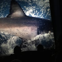 Photo taken at Simons IMAX, New England Aquarium by Selin M. on 7/17/2016
