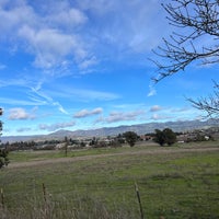 Photo taken at City of Napa by Coach B. on 1/14/2024