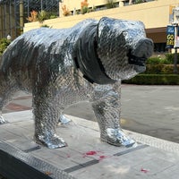 Photo taken at UCLA Bruin Statue by Coach B. on 11/18/2023