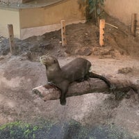 Photo taken at Aqua Zoo by Renate P. on 9/1/2020