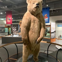 Foto diambil di University of Alaska Museum of the North oleh Shaw A. pada 4/2/2022