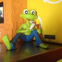 Senor Frogs Myrtle Beach Fake Id