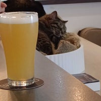 Photo taken at BeerCat by Phil N. on 3/23/2023