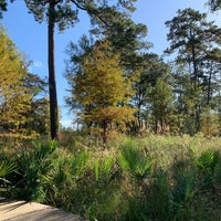 Photo taken at Houston Arboretum &amp;amp; Nature Center by Junghye P. on 11/17/2021