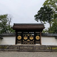 醍醐寺三宝院 唐門 2 Tips From 198 Visitors
