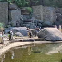 Photo taken at Pavilion of Penguins by Michal Z. on 6/24/2020