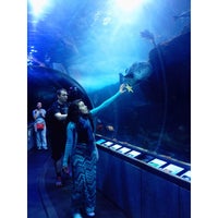 Photo taken at Aquarium of the Bay Gift Shop by Rox I. on 5/6/2015