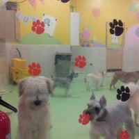 Photo taken at NY Puppy Club by New York D. on 3/6/2014