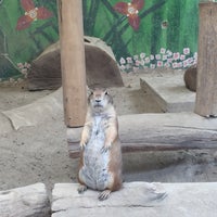 Foto diambil di Zoo Parque Loro oleh Armando M. pada 5/5/2016