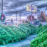 Photo taken at Hippie Trees by Shay S. on 12/1/2012
