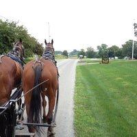 eds buggy rides