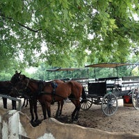 eds buggy rides