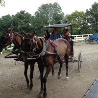 eds buggy rides