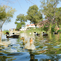 4/10/2014 tarihinde Yonca Lodgeziyaretçi tarafından Yonca Lodge'de çekilen fotoğraf