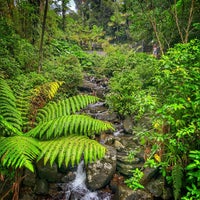 Photo taken at El Yunque National Forest by Ramone T. on 4/19/2024