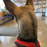 Photo taken at Irving Pet Hospital by Ava on 8/3/2019